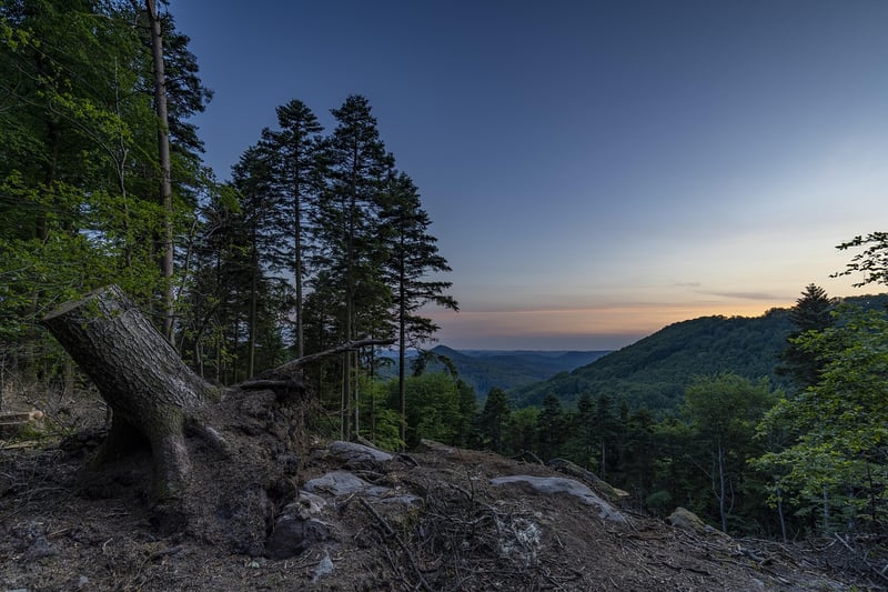 Scenic Hikes